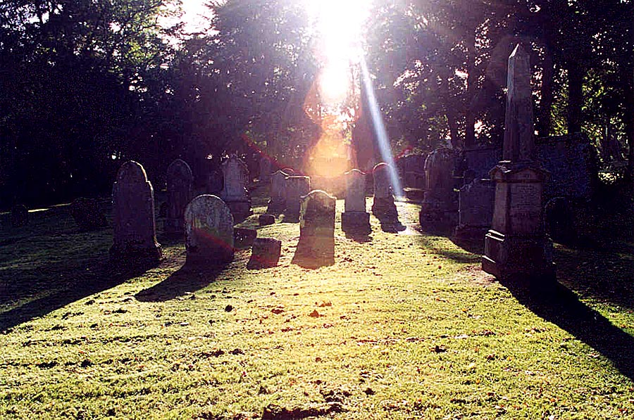 Fotografía por Exaspera para DesignCrowd (Community Contests) | Diseño #9033407