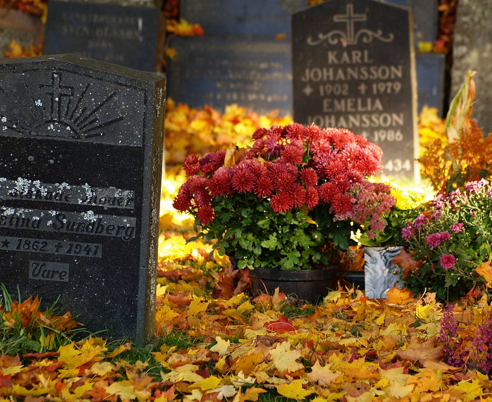 Photography by Kajelund for DesignCrowd (Community Contests) | Design #9033415