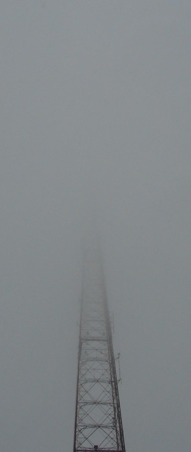 Fotografie von Megain für DesignCrowd (Community Contests) | Design #9031213