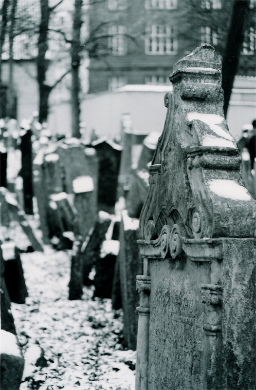 Fotografía por abbydda para DesignCrowd (Community Contests) | Diseño #9033426