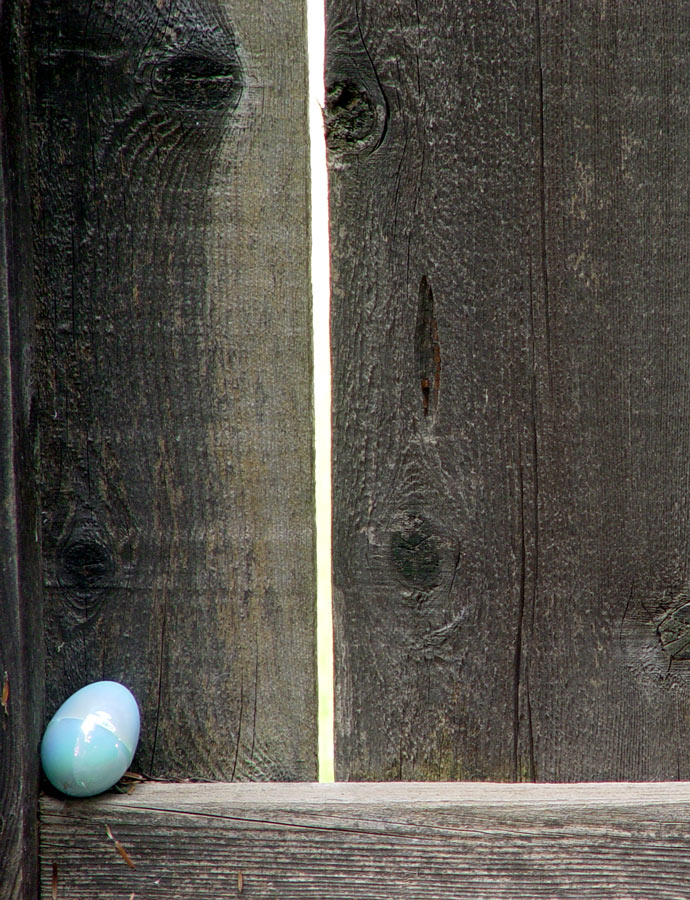 Photography by ljvgtj for DesignCrowd (Community Contests) | Design #9031272