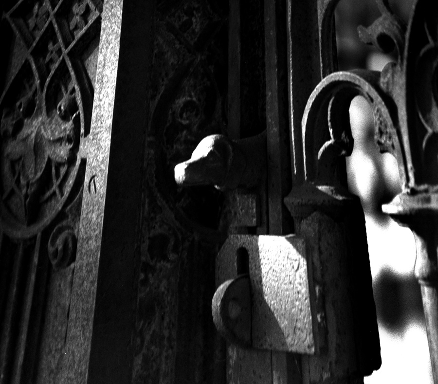 Photography by scarpino36109 for DesignCrowd (Community Contests) | Design #9033432