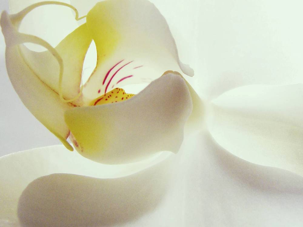 Photographie par Berilu pour DesignCrowd (Community Contests) | Design #9031302