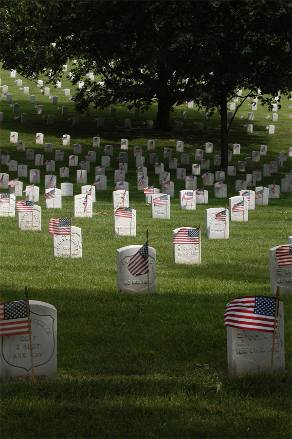 Photography by kcfemme for DesignCrowd (Community Contests) | Design #9033445