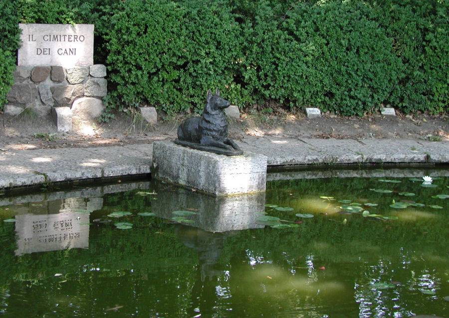 Fotografie von NatashaP für DesignCrowd (Community Contests) | Design #9033503