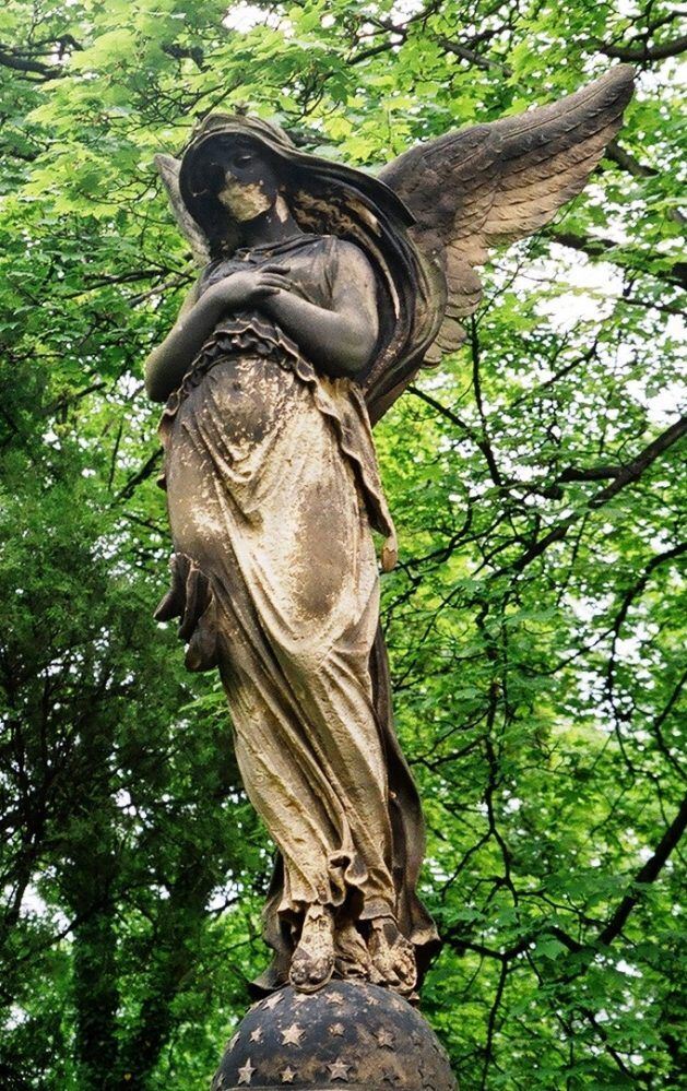 Photography by AnnaDK for DesignCrowd (Community Contests) | Design #9033461