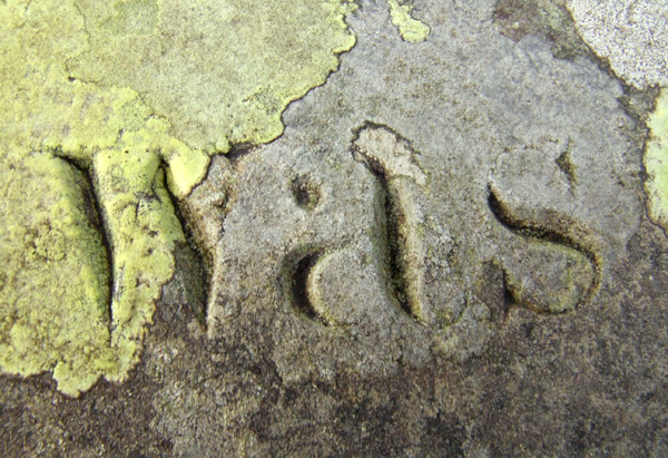 Fotografie von Flibble für DesignCrowd (Community Contests) | Design #9033467