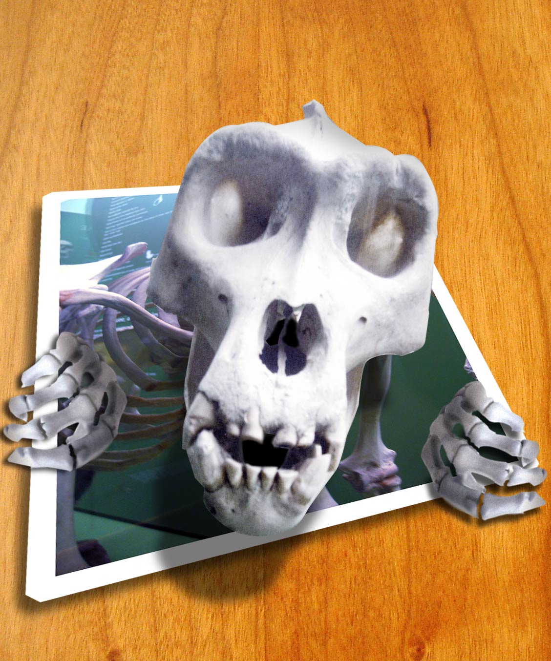 Diseño de Photoshop por deadmark para DesignCrowd (Community Contests) | Diseño #9037858