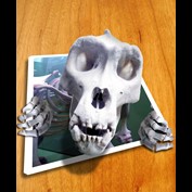 Photoshop Design by deadmark