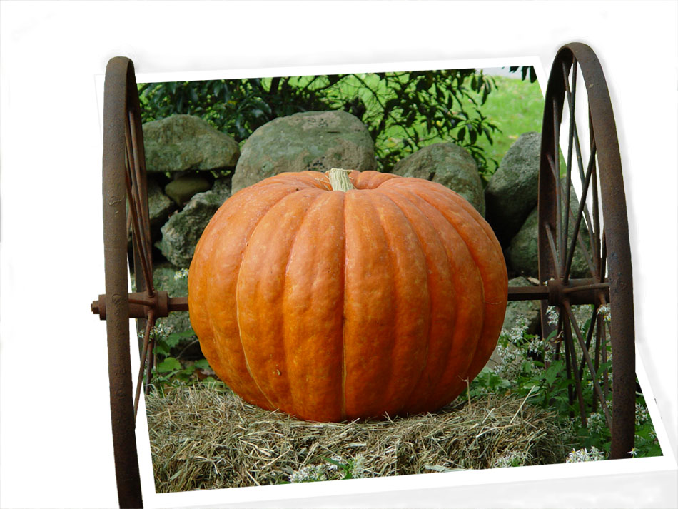 Design Photoshop par firescan pour DesignCrowd (Community Contests) | Design #9037959