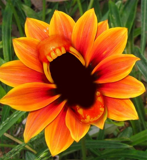 Photoshop Design by deotrip for DesignCrowd (Community Contests) | Design #9031509