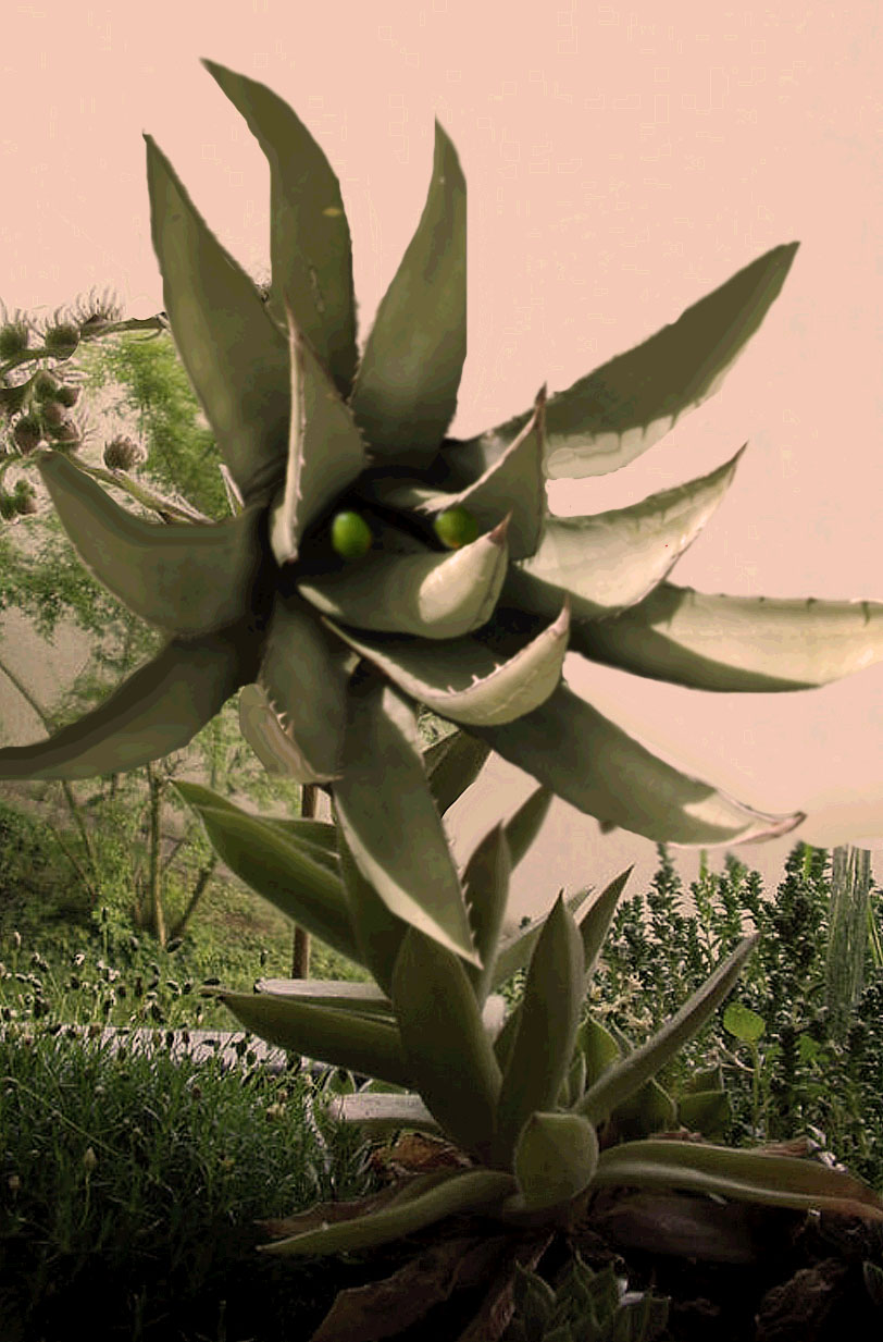 Photoshop Design by denniswitjes for DesignCrowd (Community Contests) | Design #9031513