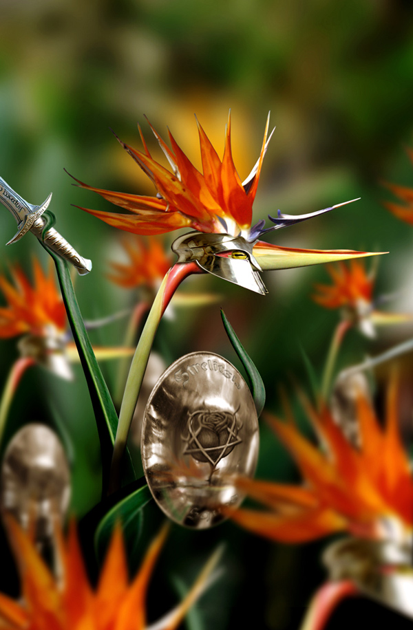 Photoshop Design by Lugosi for DesignCrowd (Community Contests) | Design #9031515