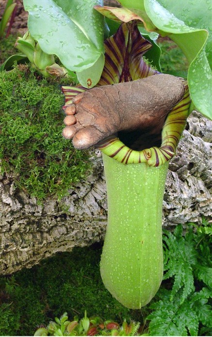 Photoshop-Design von Nana für DesignCrowd (Community Contests) | Design #9031524