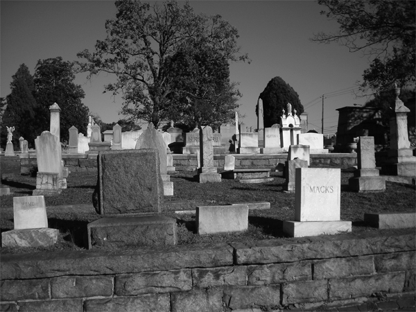 Photographie par cicisunflower pour DesignCrowd (Community Contests) | Design #9033539