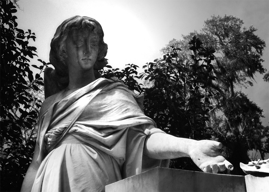 Fotografie von tgimages für DesignCrowd (Community Contests) | Design #9033546