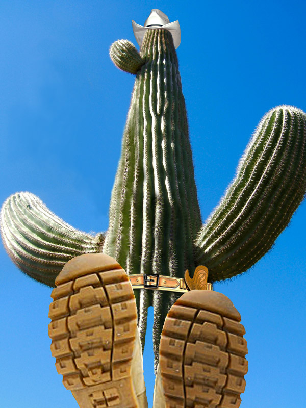 Photoshop-Design von zaheersc für DesignCrowd (Community Contests) | Design #9031528