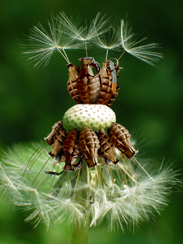 Photoshop Design by tombarreto for DesignCrowd (Community Contests) | Design #9031536