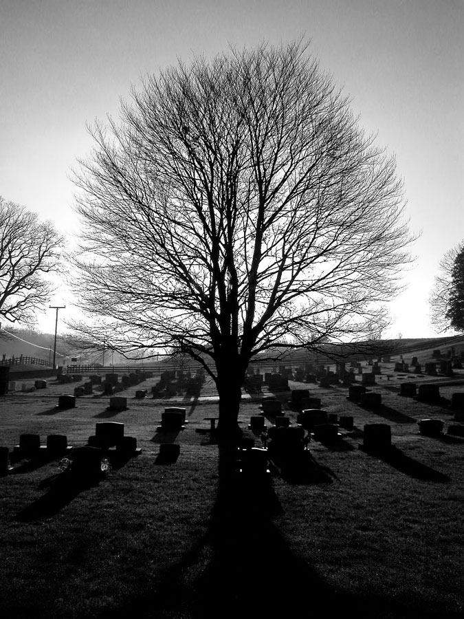 Photography by rml1963 for DesignCrowd (Community Contests) | Design #9033562