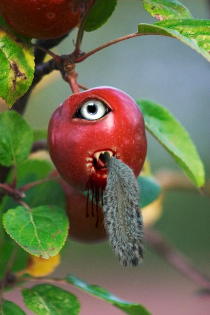 Photoshop Design by stewiemgr for DesignCrowd (Community Contests) | Design #9031566