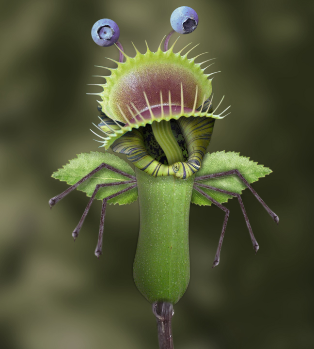 Photoshop Design by Bahamo for DesignCrowd (Community Contests) | Design #9031561