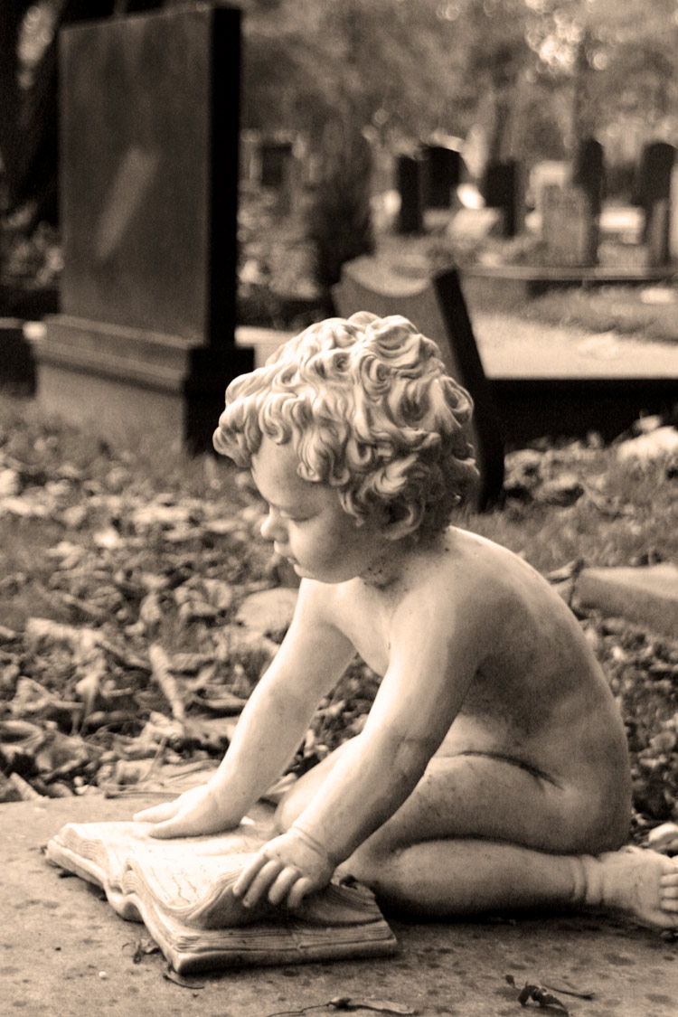 Photography by secretatlantis for DesignCrowd (Community Contests) | Design #9033629
