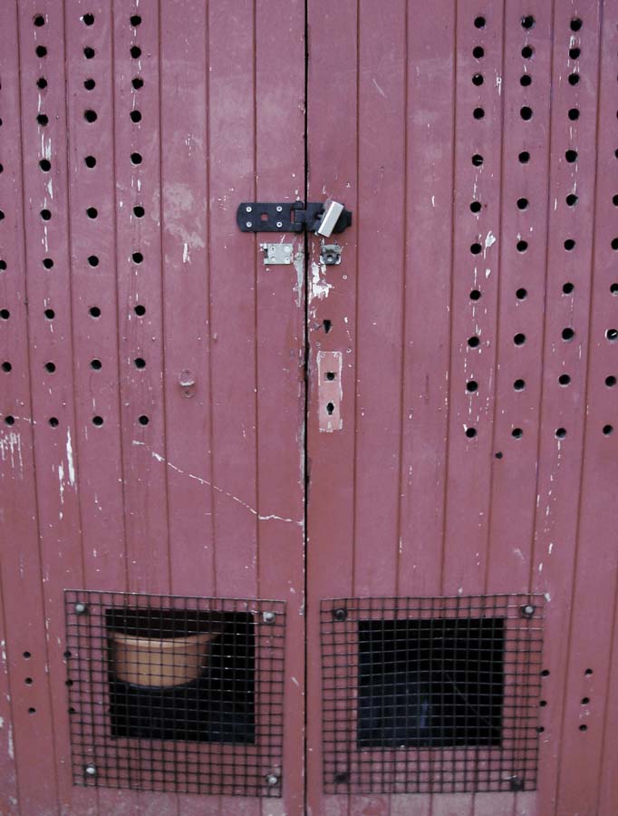 Photography by palegothicangel for DesignCrowd (Community Contests) | Design #9031318