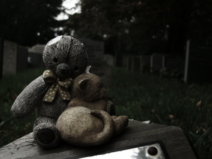 Fotografie von chilledcoder für DesignCrowd (Community Contests) | Design #9033660