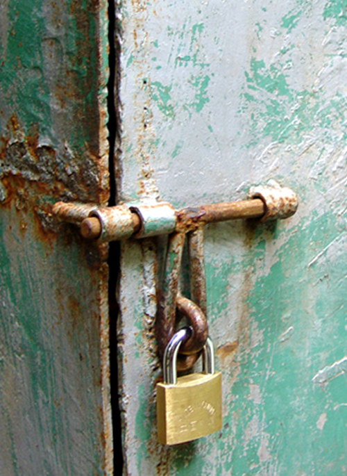 Photography by ljvgtj for DesignCrowd (Community Contests) | Design #9031327