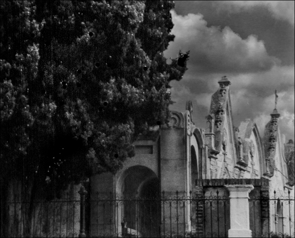 Fotografie von VikiBond für DesignCrowd (Community Contests) | Design #9033638