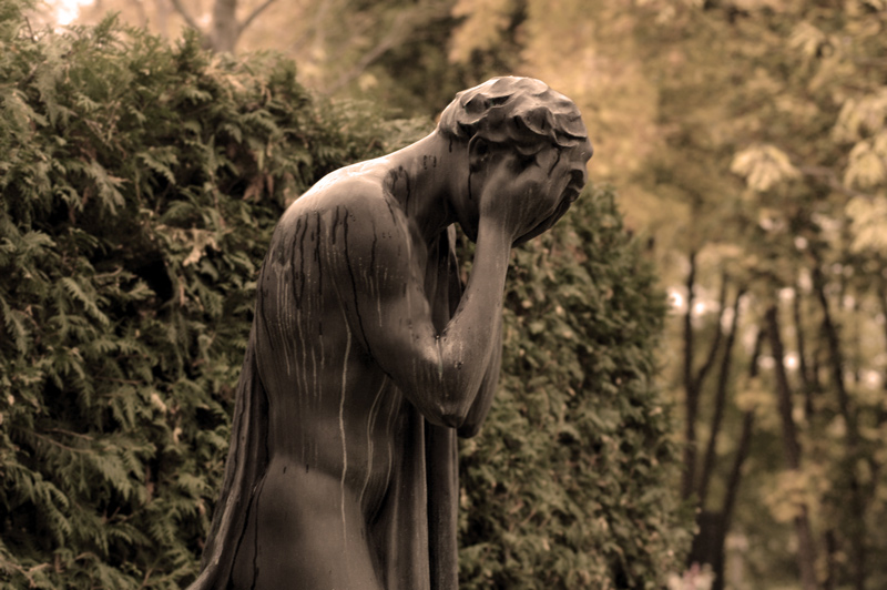 Photography by Choane for DesignCrowd (Community Contests) | Design #9033573