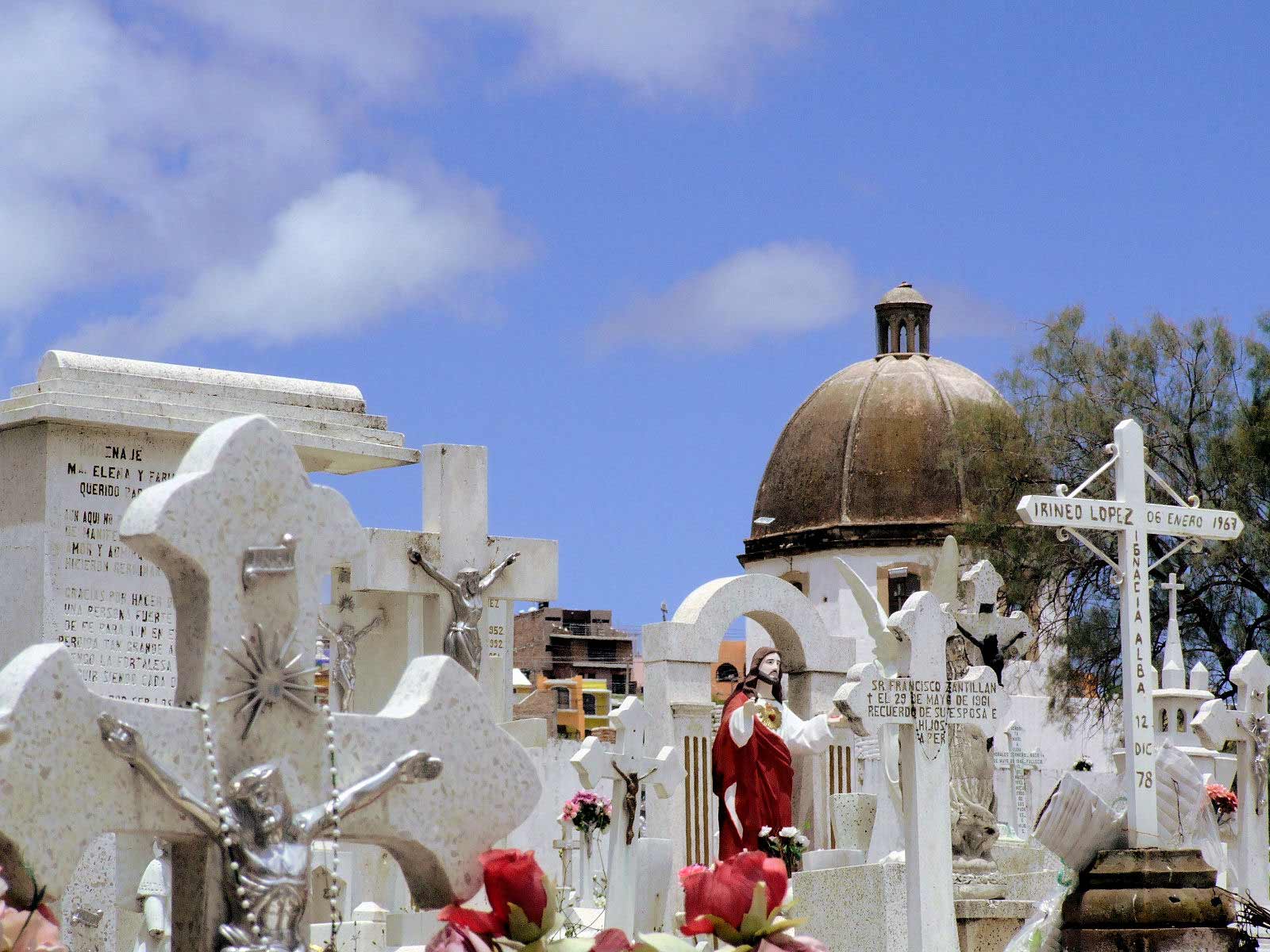 Fotografía por alxkueyar para DesignCrowd (Community Contests) | Diseño #9033632