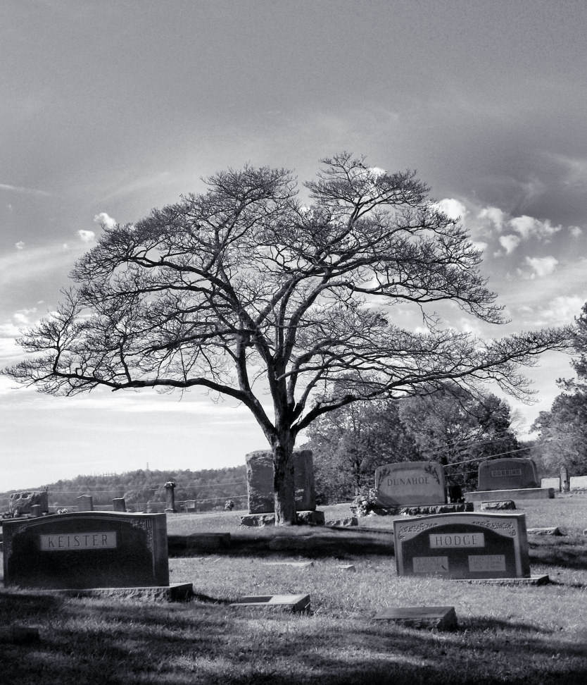 Photography by slimjewel1 for DesignCrowd (Community Contests) | Design #9033642