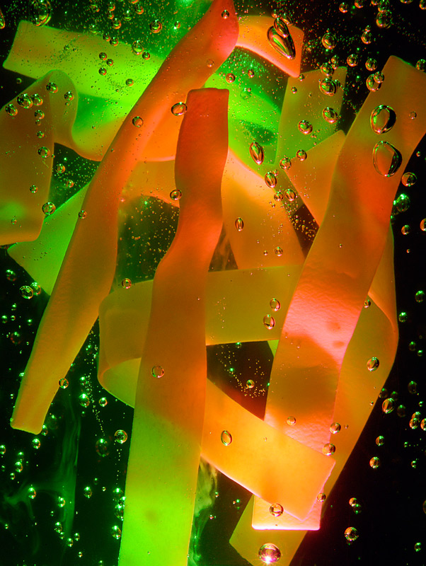 Fotografía por Fishcat para DesignCrowd (Community Contests) | Diseño #9030951