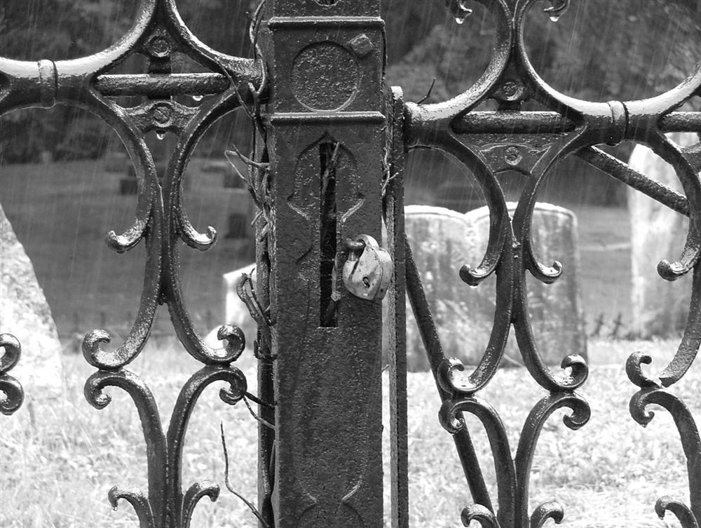 Fotografía por djcollabo para DesignCrowd (Community Contests) | Diseño #9033677