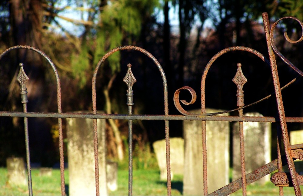 Photography by wildnature for DesignCrowd (Community Contests) | Design #9033679