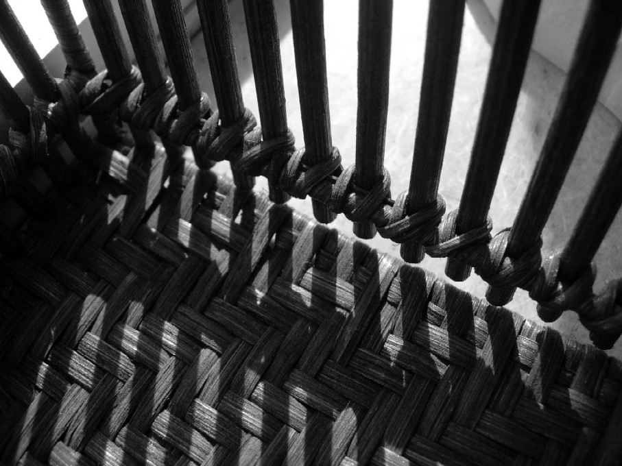 Photography by grantivy for DesignCrowd (Community Contests) | Design #9030190