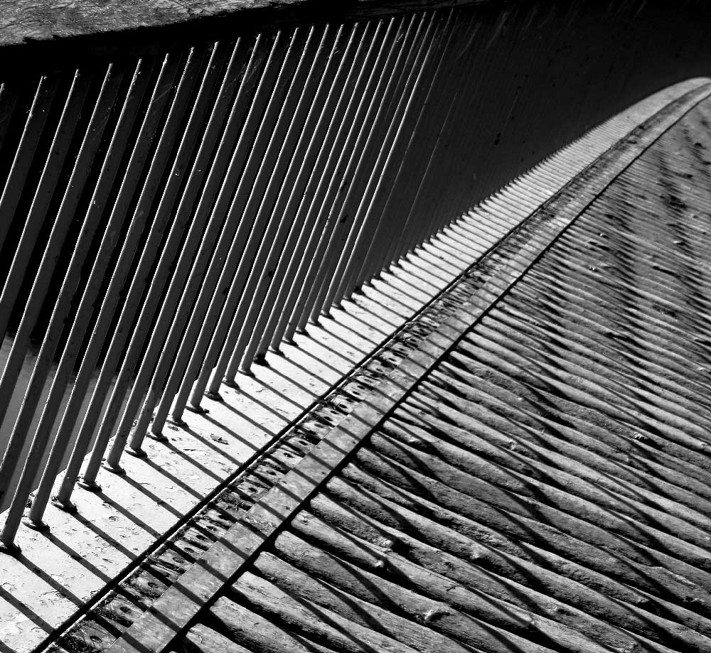 Photography by DurhamTyke for DesignCrowd (Community Contests) | Design #9030176