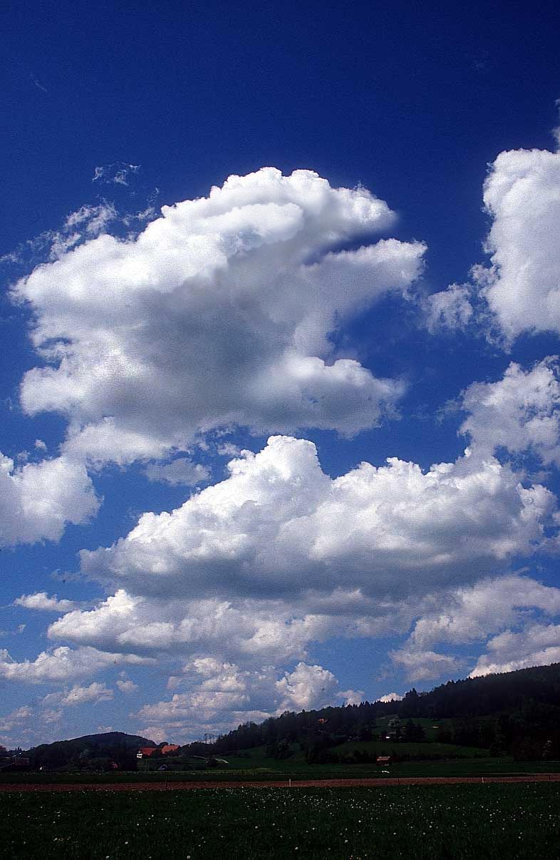 Photoshop-Design von Doguz1000 für DesignCrowd (Community Contests) | Design #9033710