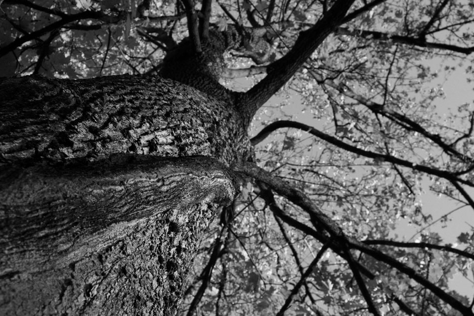 Photography by Nomadic02 for DesignCrowd (Community Contests) | Design #9030185