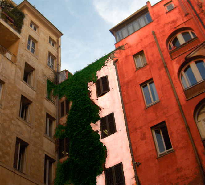 Photography by Dirtyrain for DesignCrowd (Community Contests) | Design #9031079