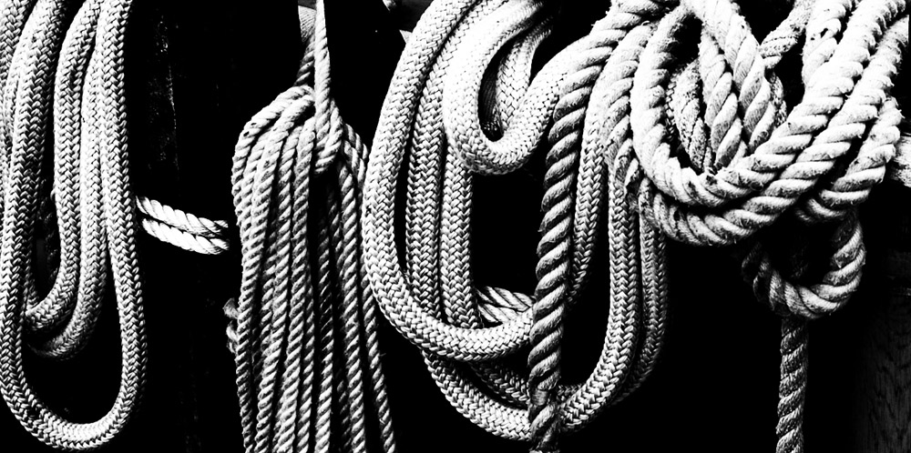 Photography by Larvice for DesignCrowd (Community Contests) | Design #9030339