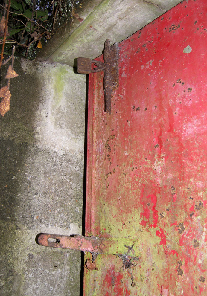 Photography by lais98 for DesignCrowd (Community Contests) | Design #9031415