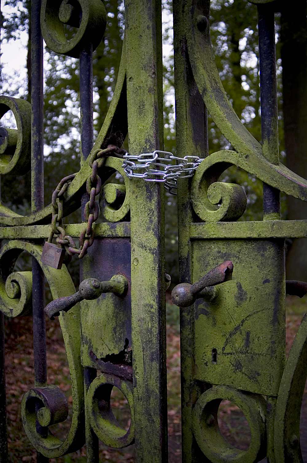 Photography by egonlinden for DesignCrowd (Community Contests) | Design #9031412