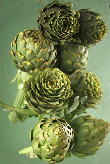 Photography by crabby for DesignCrowd (Community Contests) | Design #9029908