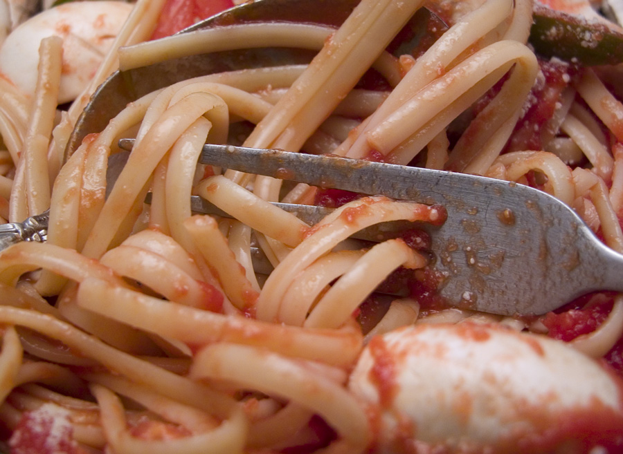 Photography by georgethedog for DesignCrowd (Community Contests) | Design #9031092