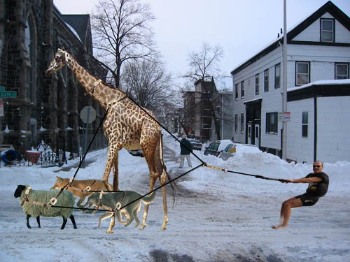 Diseño de Photoshop por raymanis para DesignCrowd (Community Contests) | Diseño #9025705