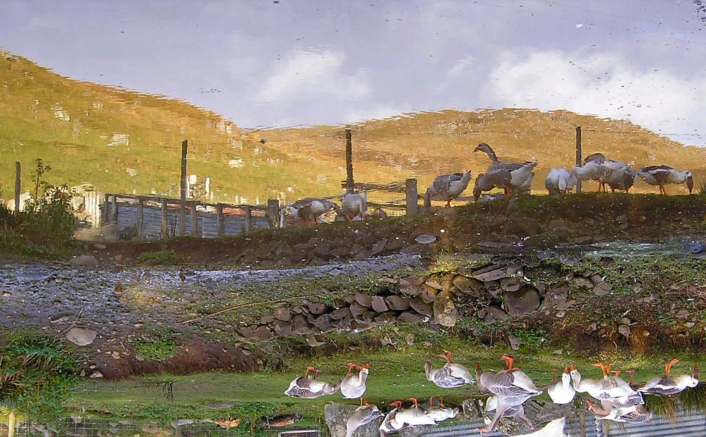 Photographie par Massie pour DesignCrowd (Community Contests) | Design #9029932