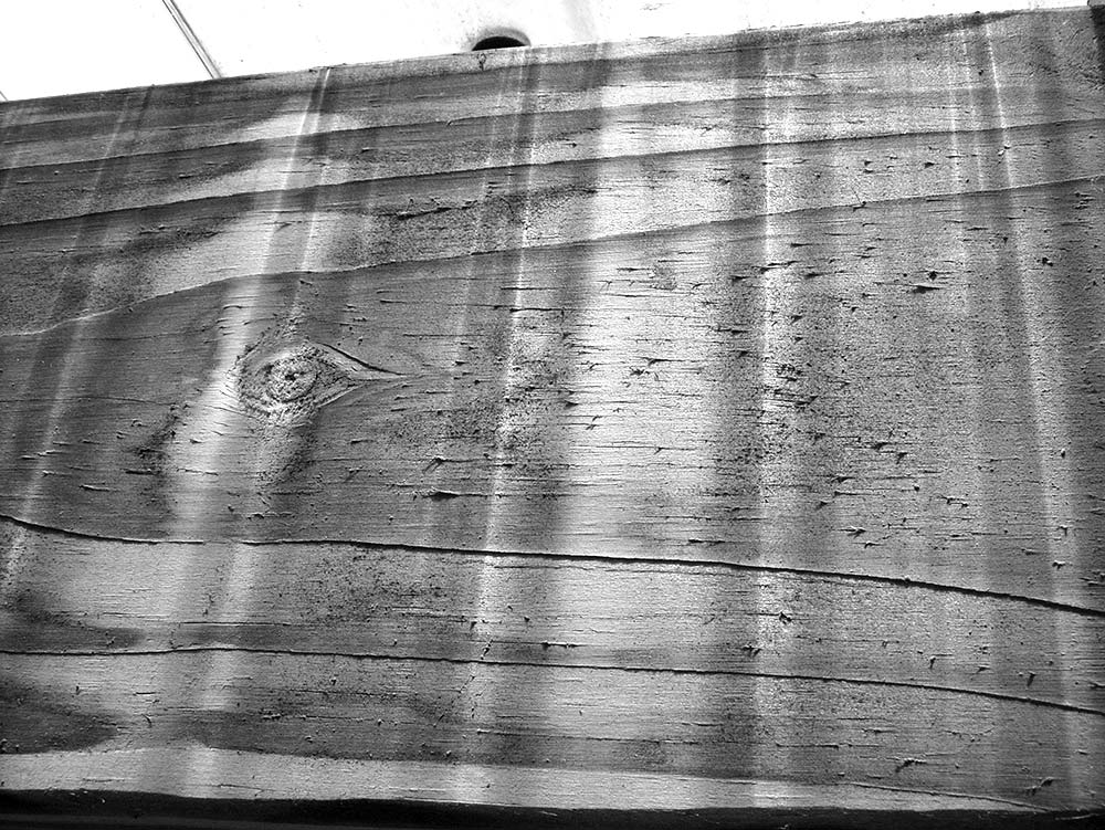 Photography by revdave33 for DesignCrowd (Community Contests) | Design #9030299