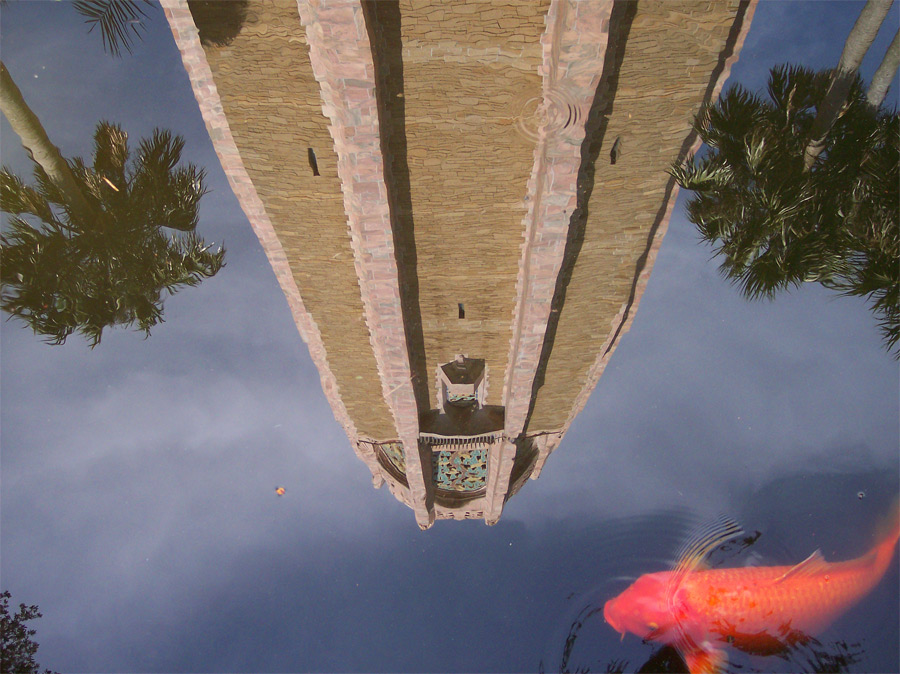 Photography by jfailes for DesignCrowd (Community Contests) | Design #9029960